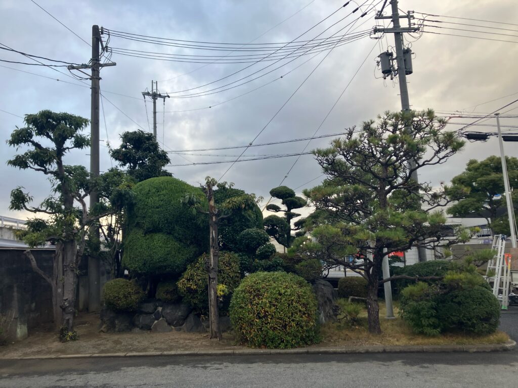 奈良県葛城市　剪定作業