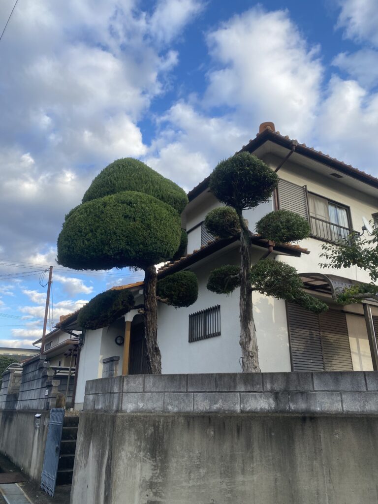 奈良県生駒市　伐採剪定